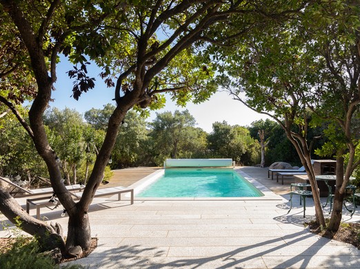Swimming pool and terrace