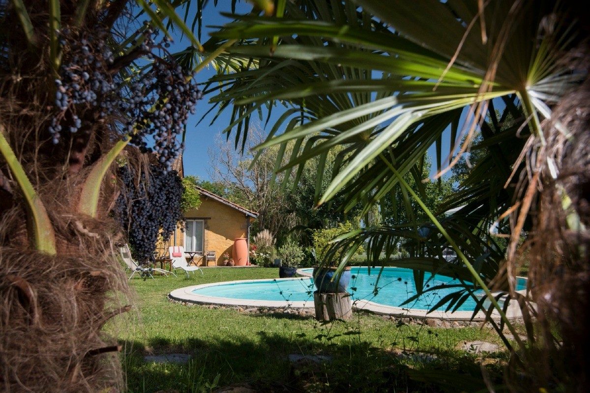 La piscine traité naturelle avec partagé avec tous les clients. Swimmingpool with naturally treated water!