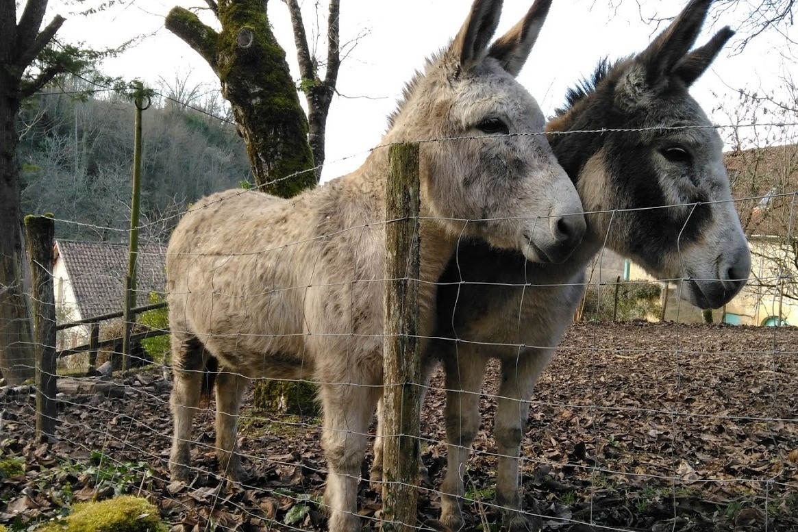 rencontre en ballade, Ste-Mondane