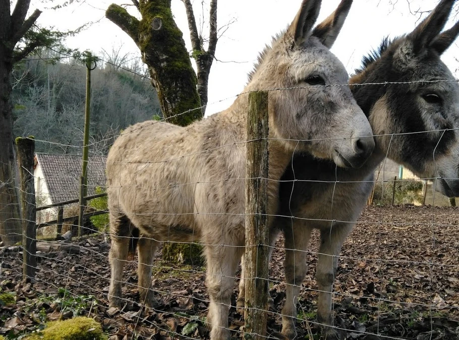 rencontre en ballade, Ste-Mondane