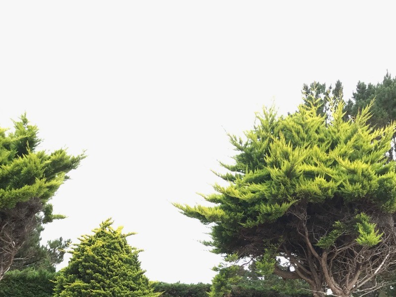 Photo n° 16 of the location