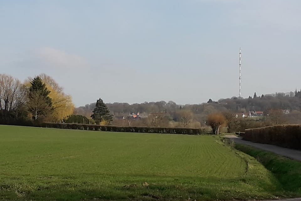 vu lors d'une balade