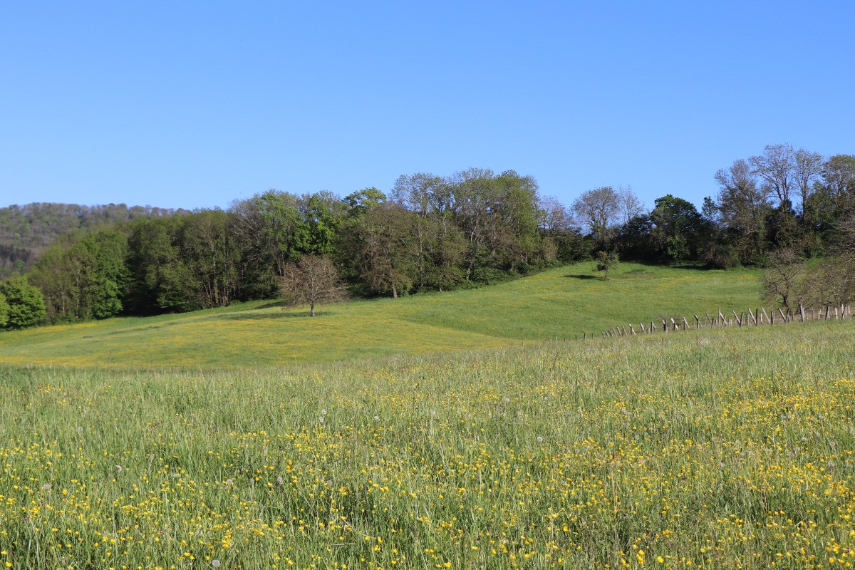 Paysage du Jura au printemps