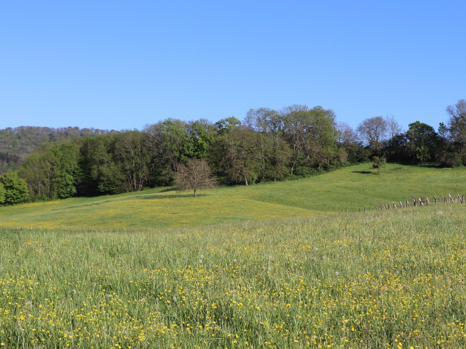 Paysage du Jura au printemps