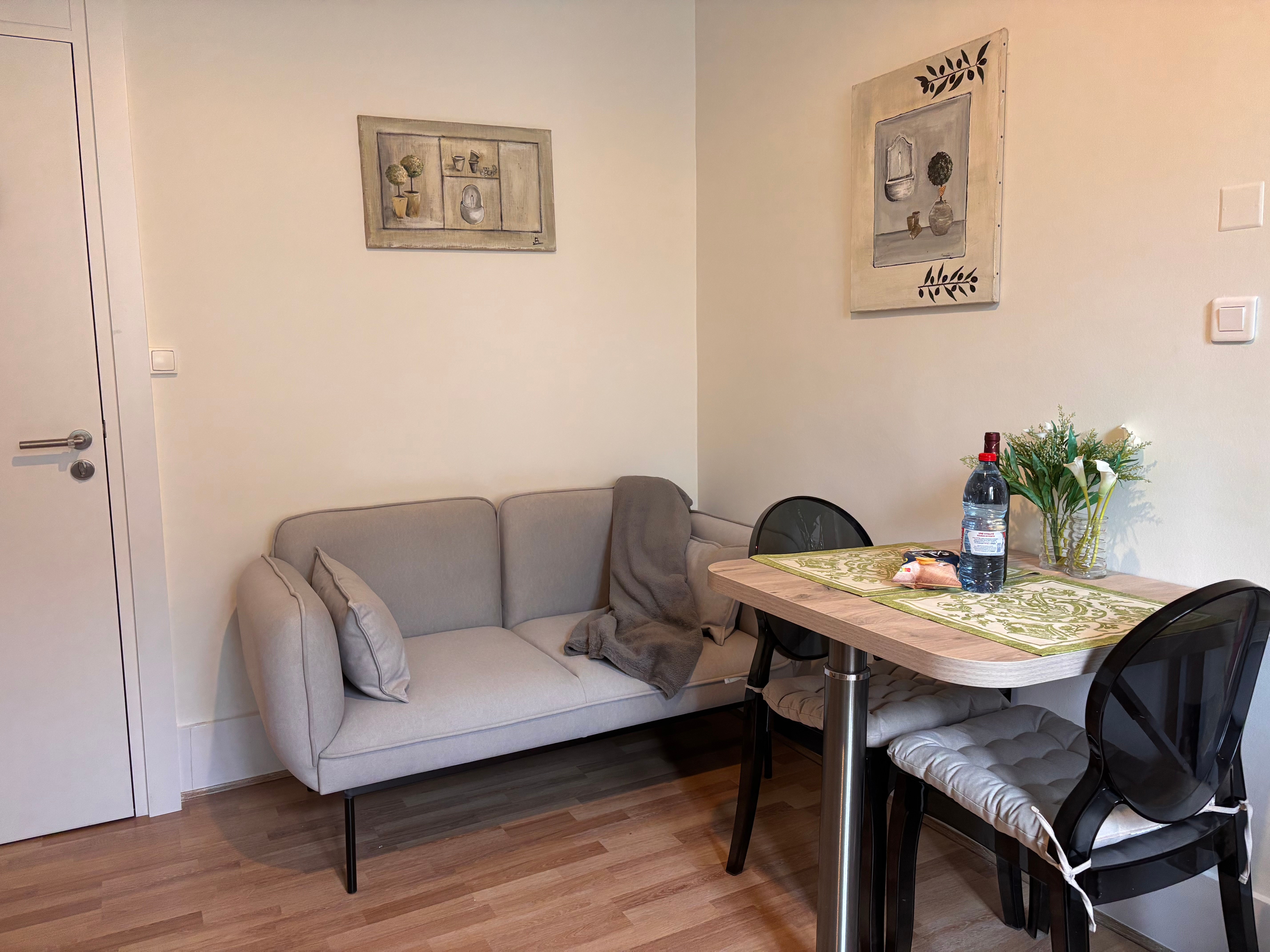 Living room - Apartment "De Gauche - Vittel, Vosges