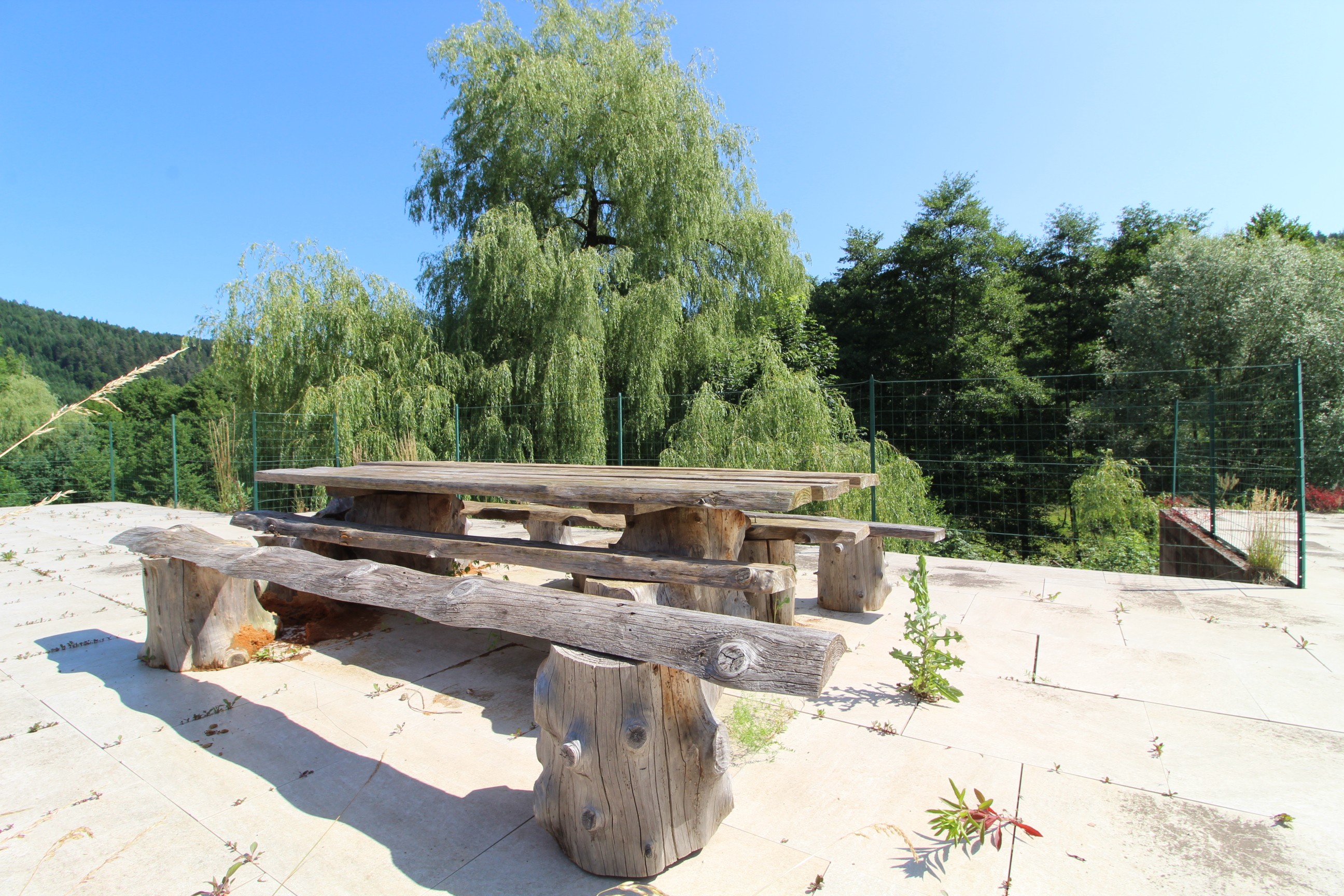 Ecogîte Saint-Prayel à Moyenmoutier – Gîte de groupe avec piscine, sauna, jeux