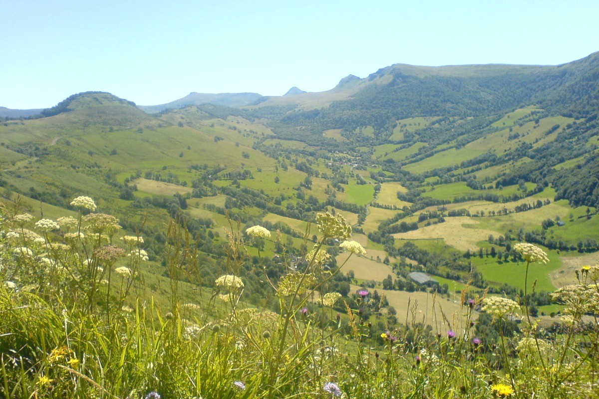 Photo n° 6 de la location