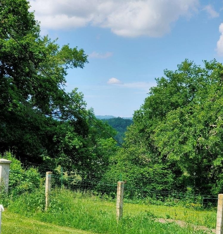 Photo n° 18 de la location