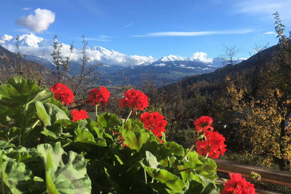 Vue sur le massif du Mont-Blanc