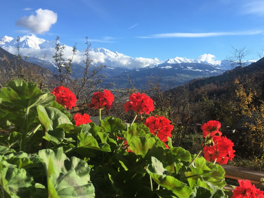 Vue sur le massif du Mont-Blanc