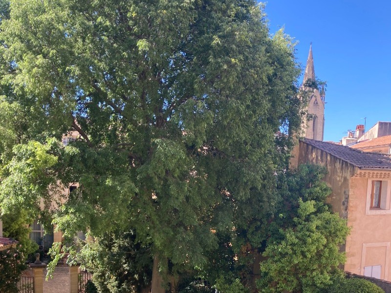 Crédit SERGENT - Lecture dans le jardin au printemps