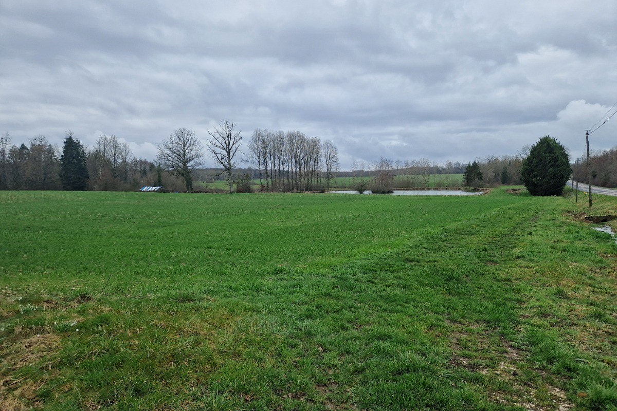 Accessible private pond - Chez la mouzotte