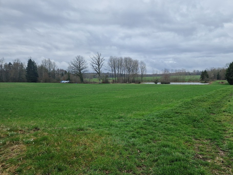 Accessible private pond - Chez la mouzotte