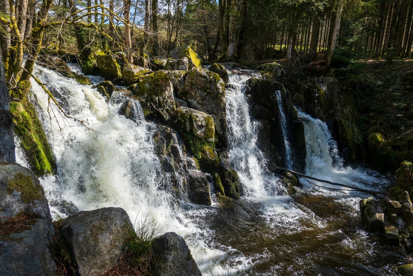 Saut Du Bouchot © La Bresse Tourist Office 2022