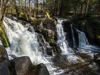 Saut Du Bouchot © La Bresse Tourist Office 2022