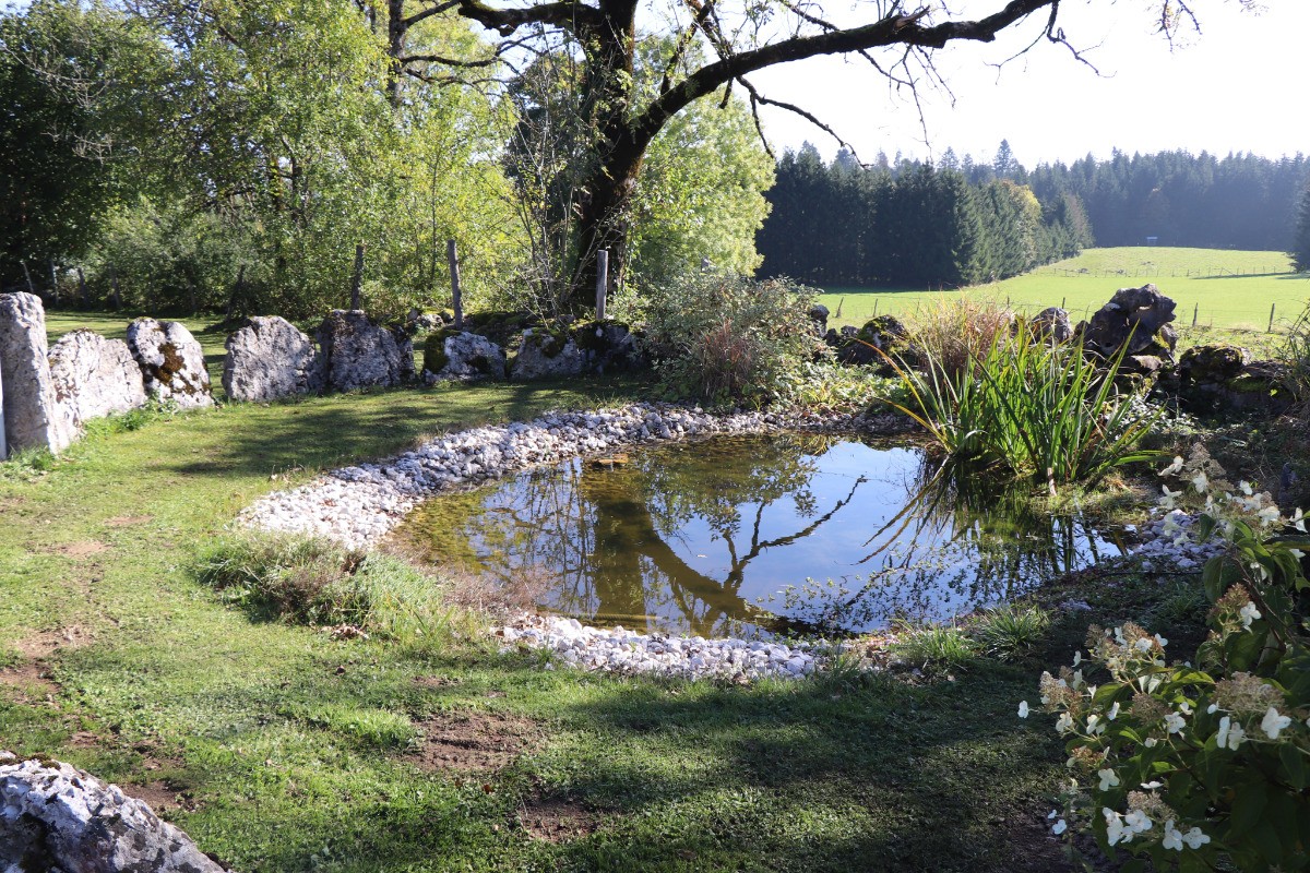 Photo n° 15 of the location