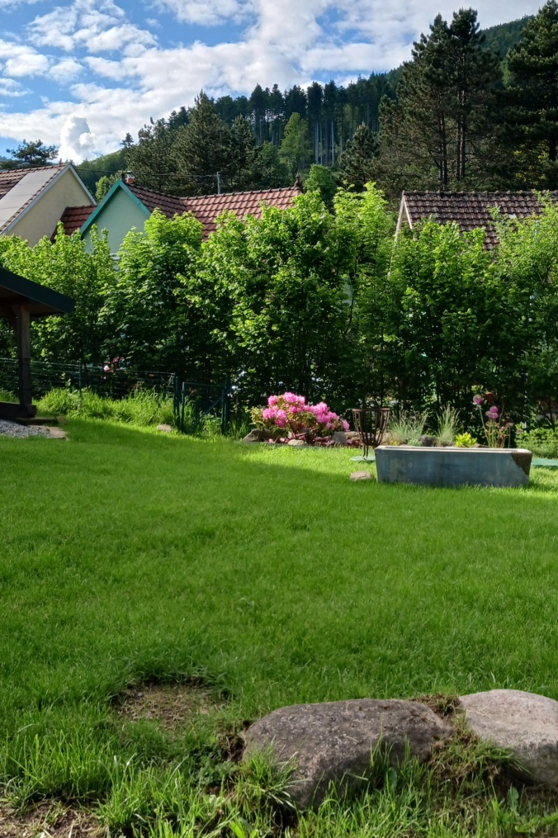 Jardin