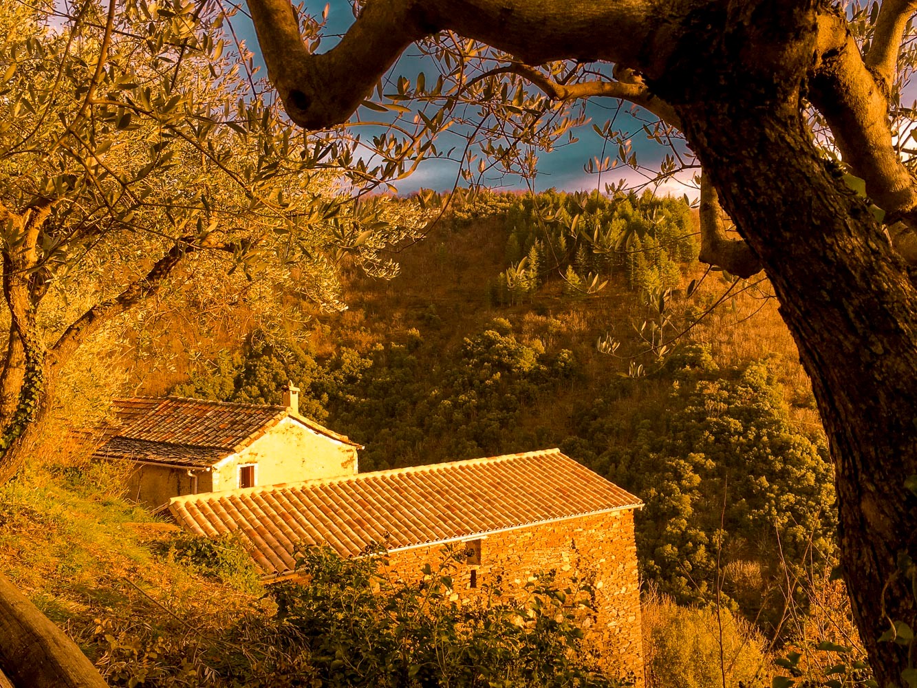 Photo n° 13 of the location