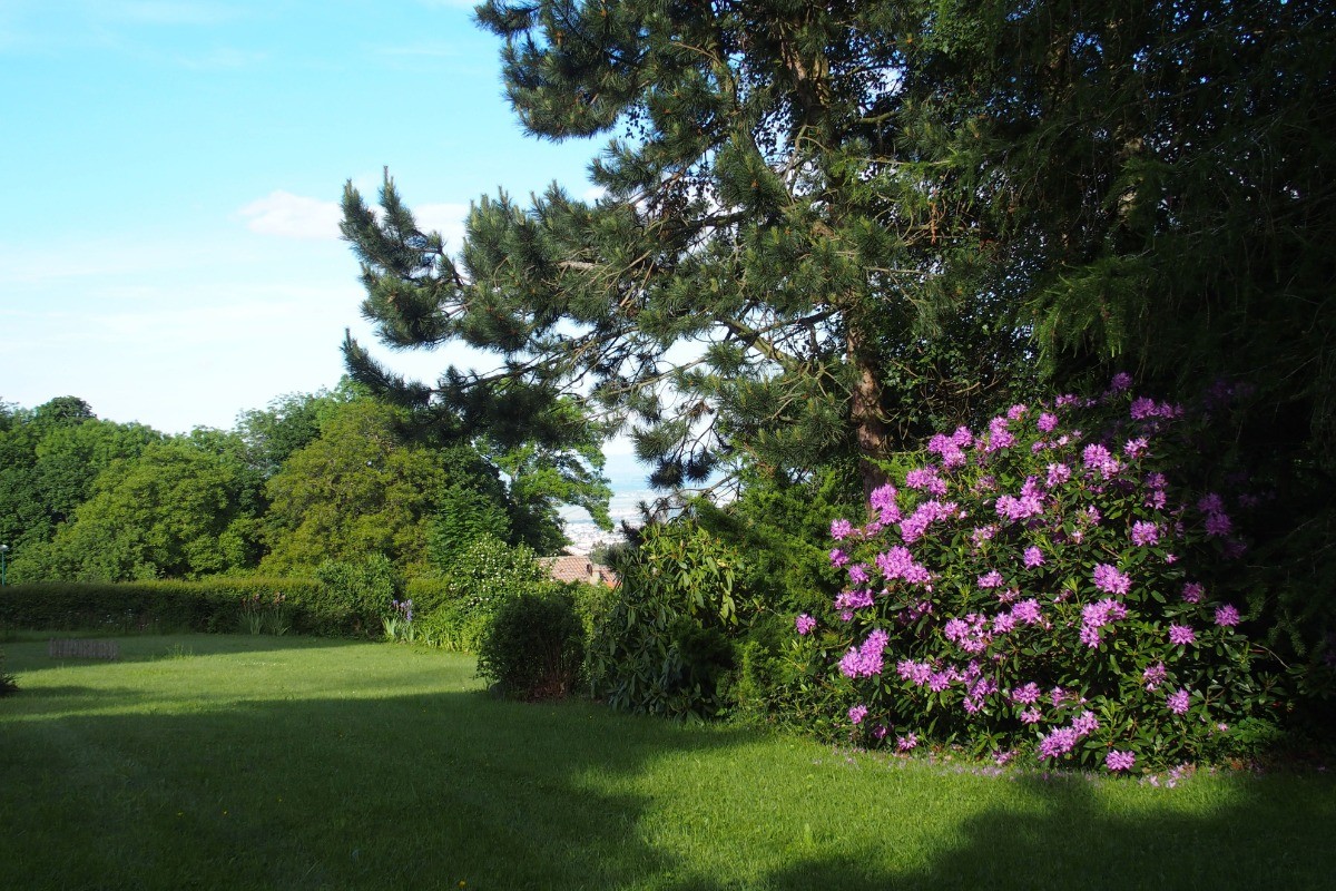 Une partie du jardin avec Rhododendron au printemps. On devine la vue sur Clermont, la Limagne et les Monts de Forez.