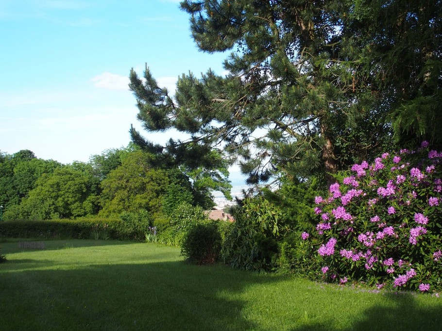 Une partie du jardin avec Rhododendron au printemps. On devine la vue sur Clermont, la Limagne et les Monts de Forez.