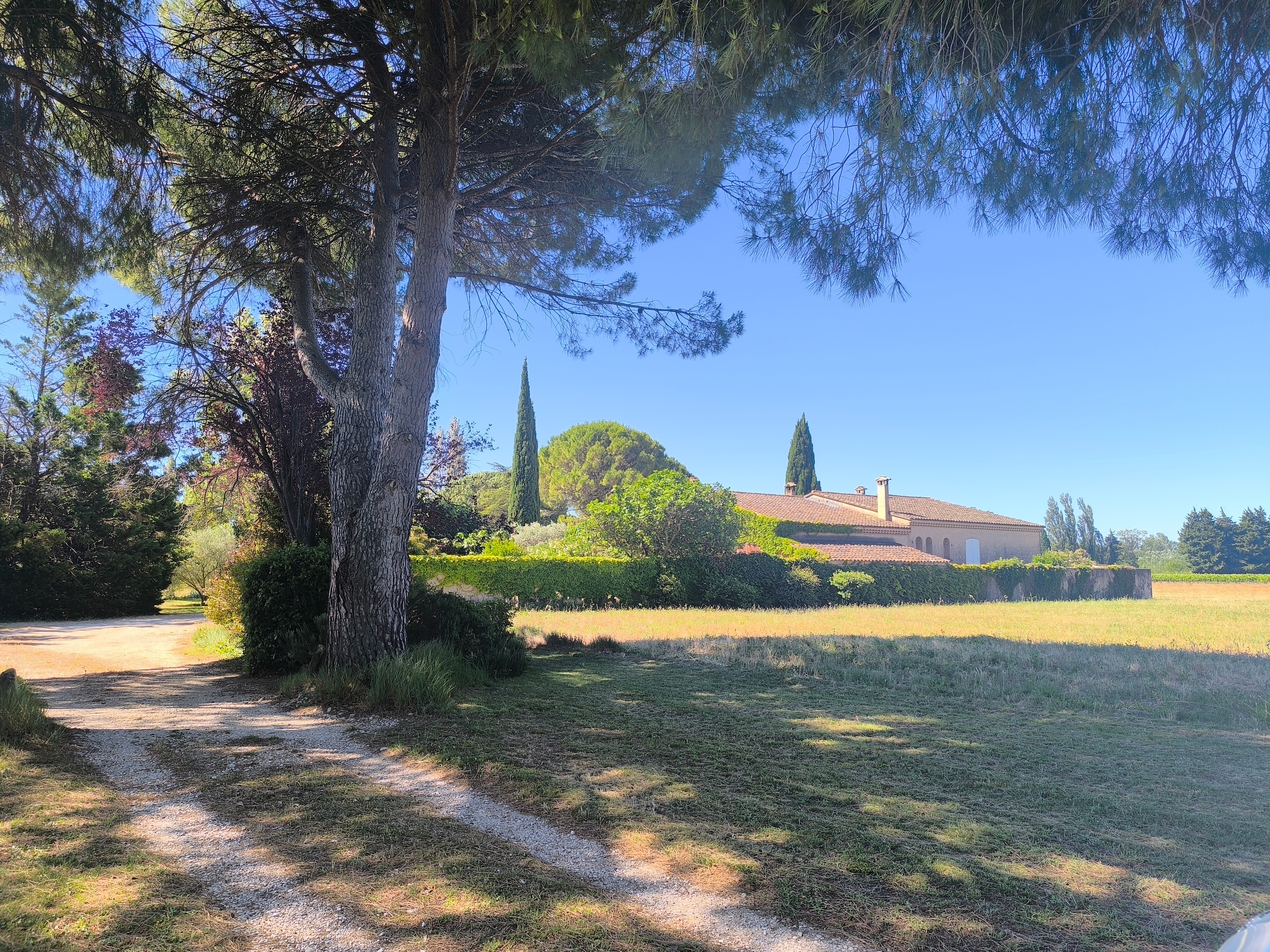 Photo n° 2 of the location