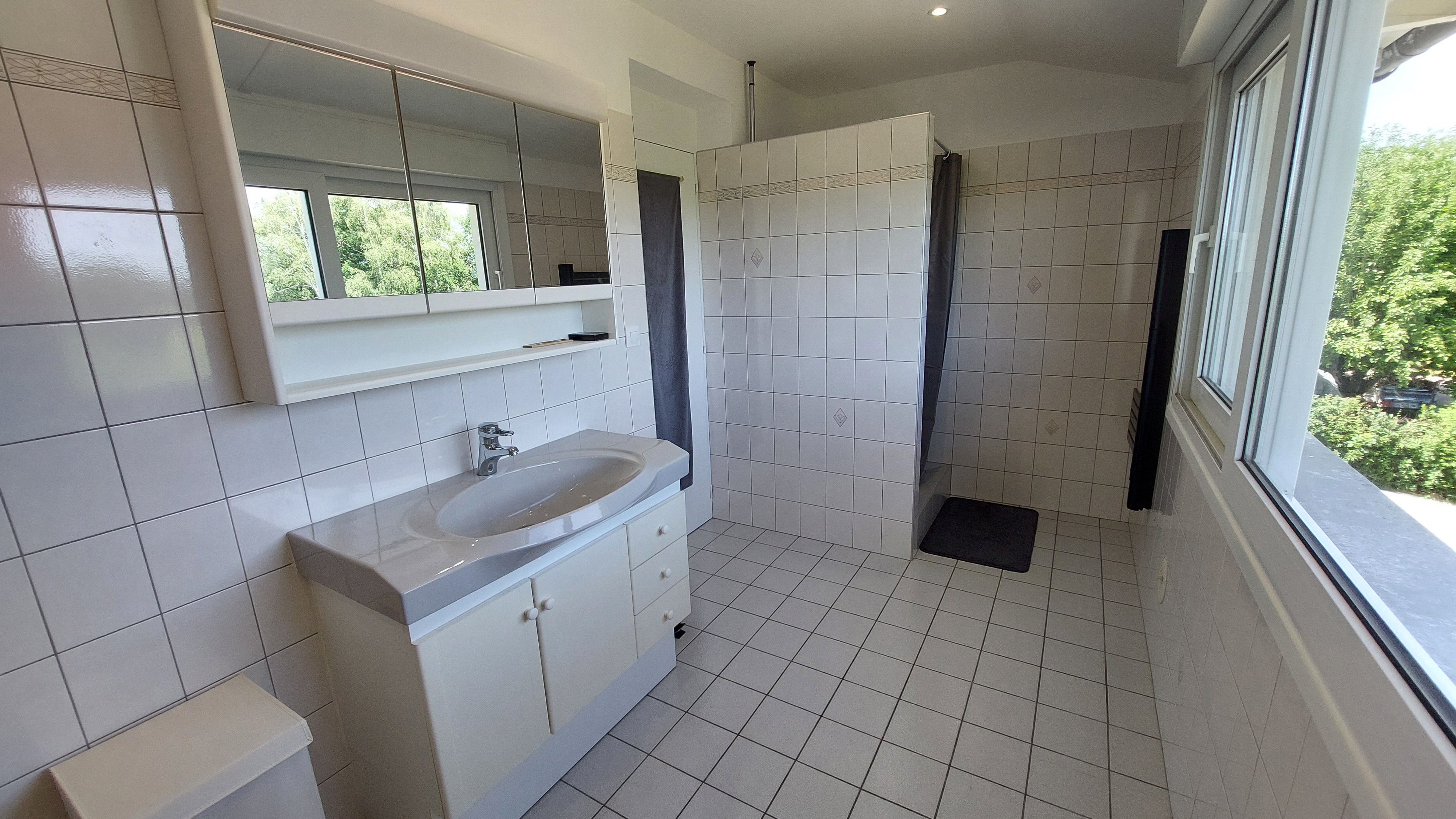 Grande salle de bain avec baignoire et douche du gîte Lilas