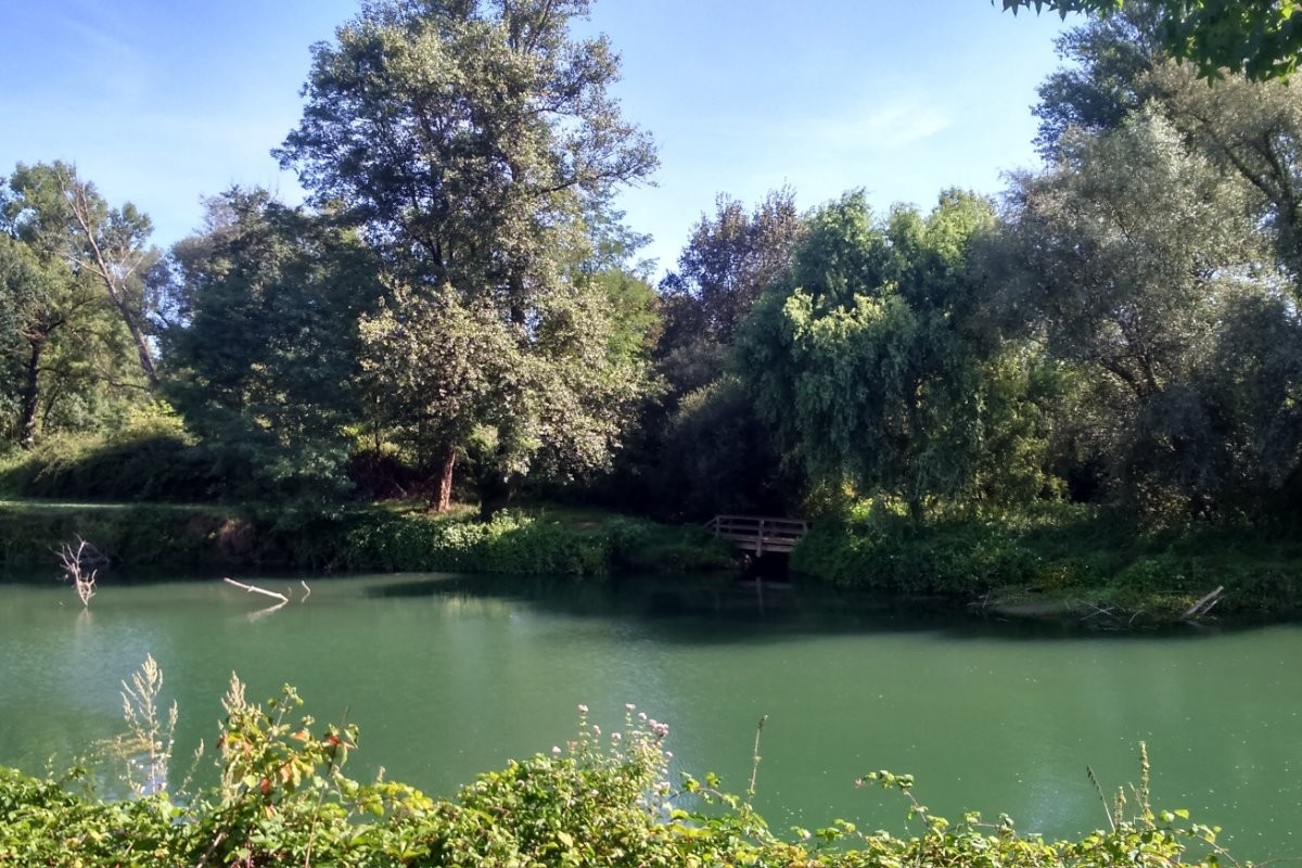 Photo n° 12 of the location