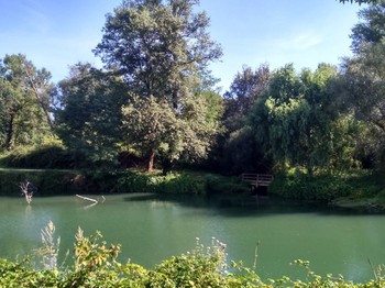 Photo n° 12 de la location