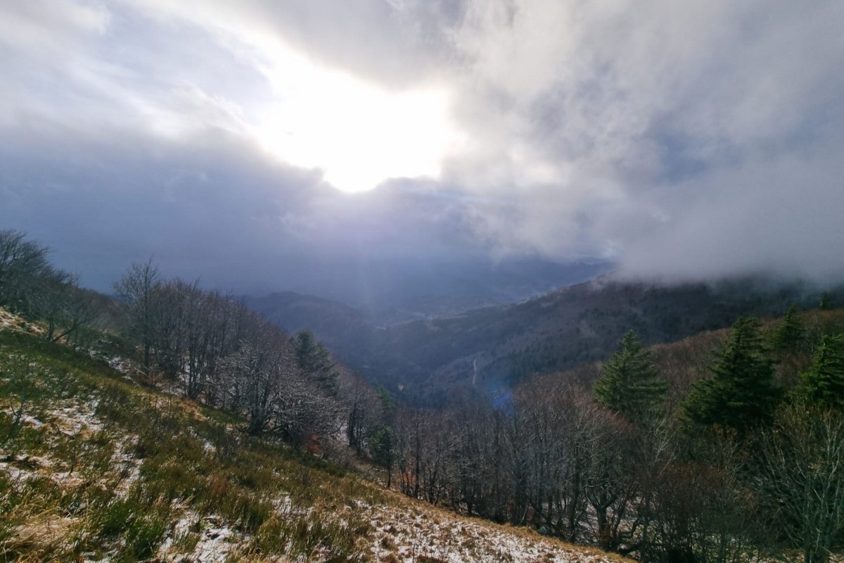 Environnement- Chalet Salamandre