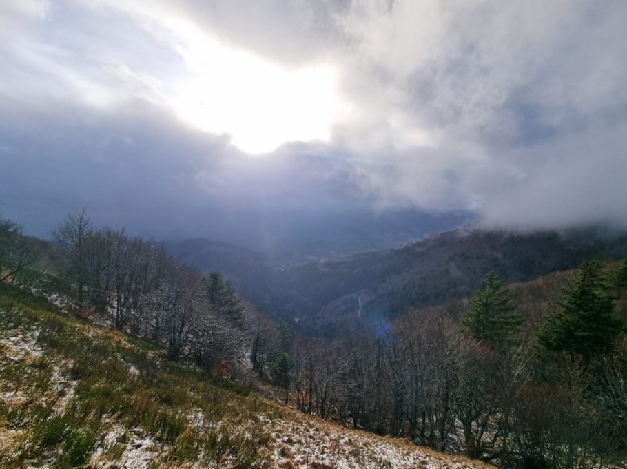 Environment- Chalet Salamandre