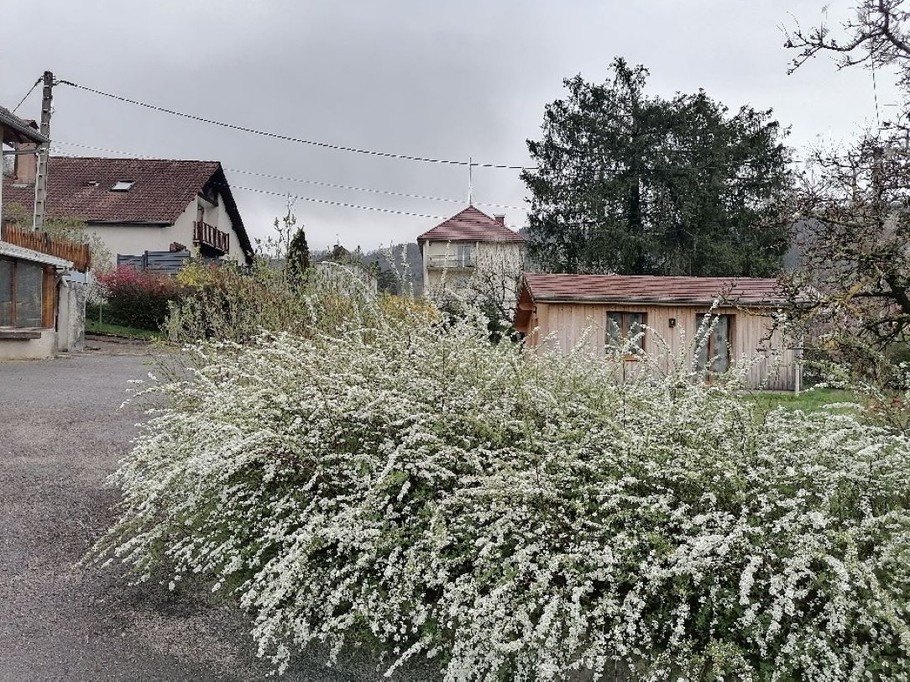 Photo n° 6 de la location