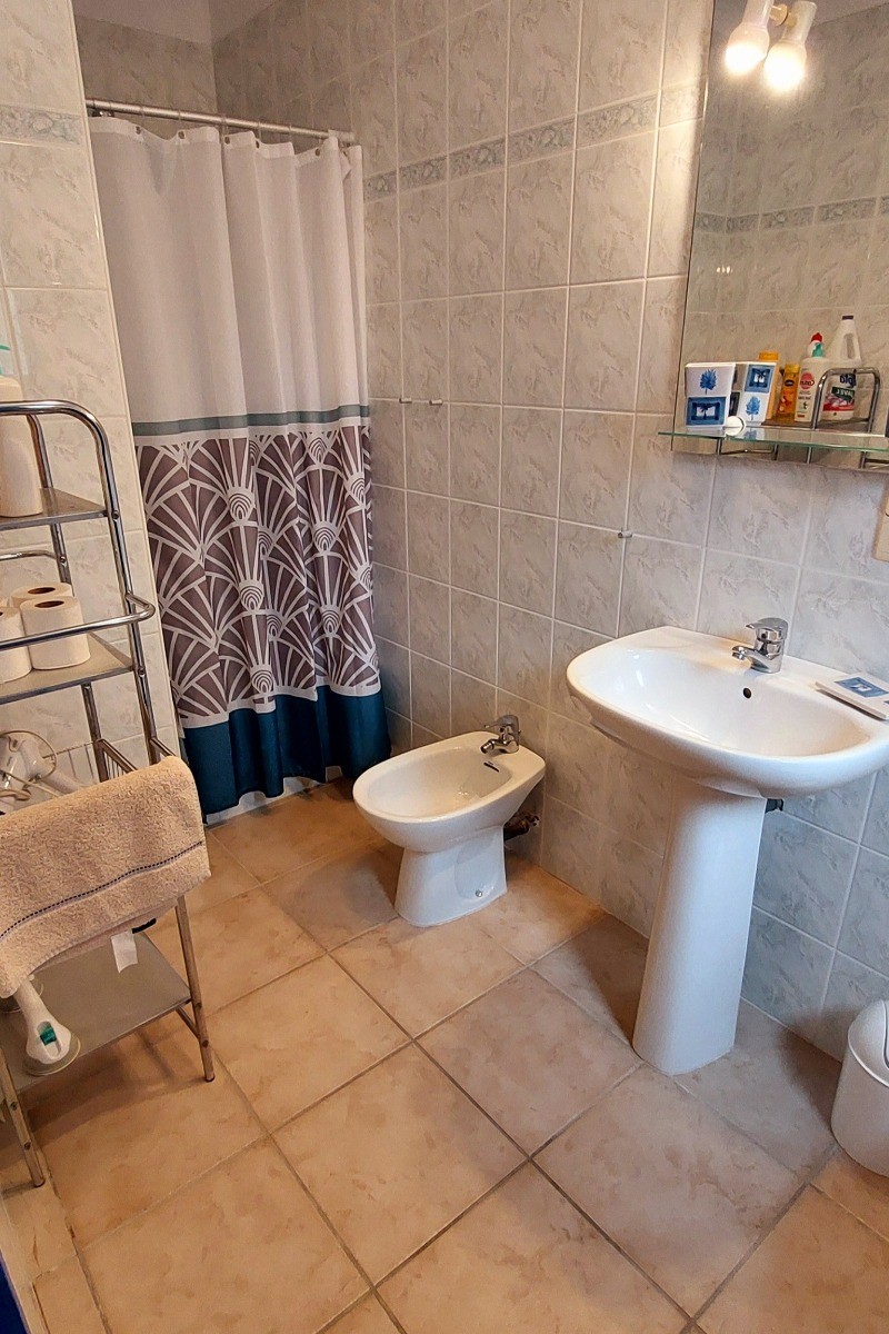 salle de bains avec douche et wc
