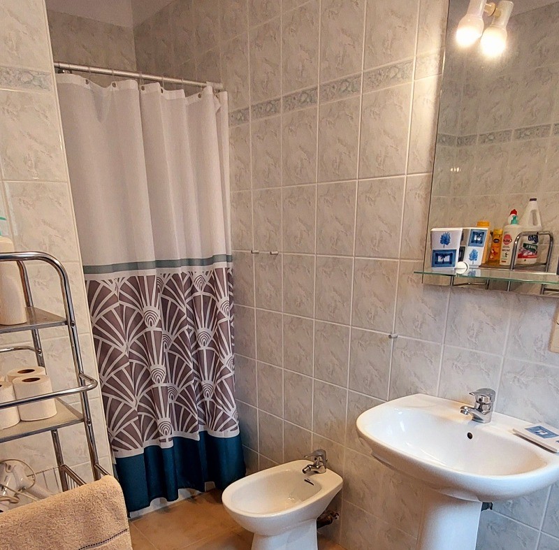 salle de bains avec douche et wc