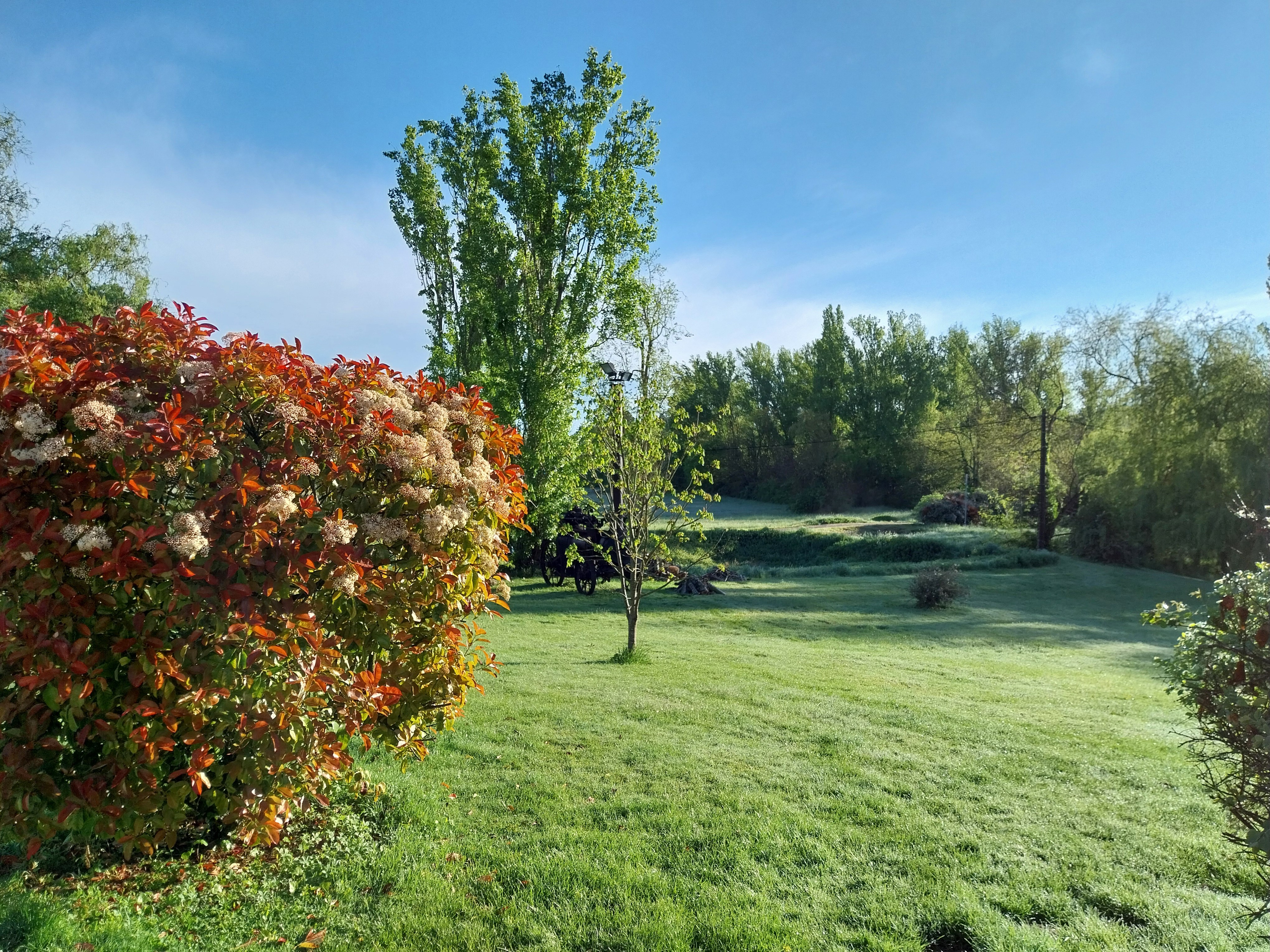 Vue depuis la terrasse