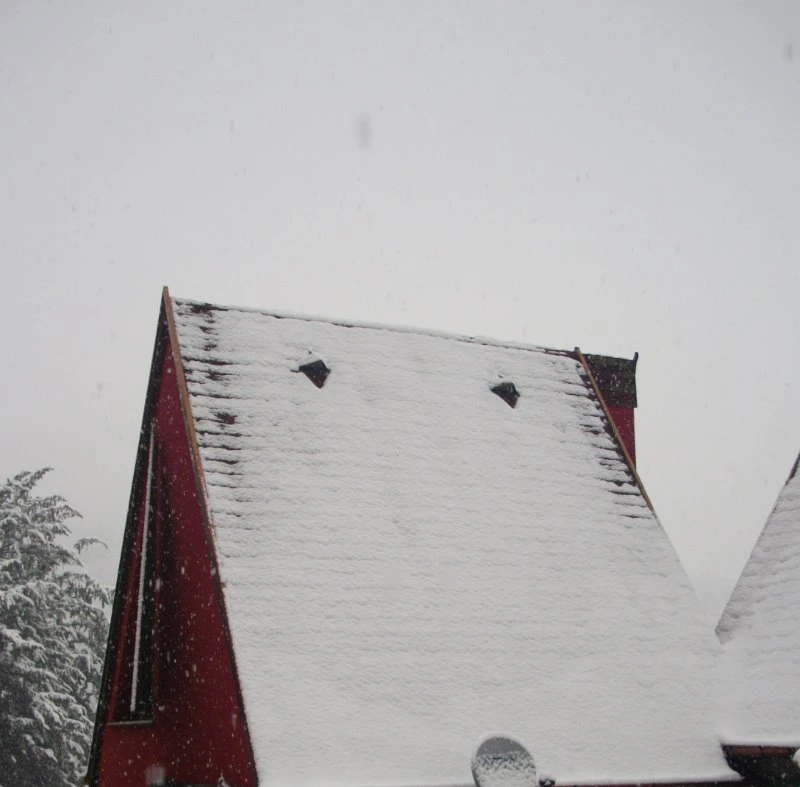 Pavillon Pinot Noir sous la neige
