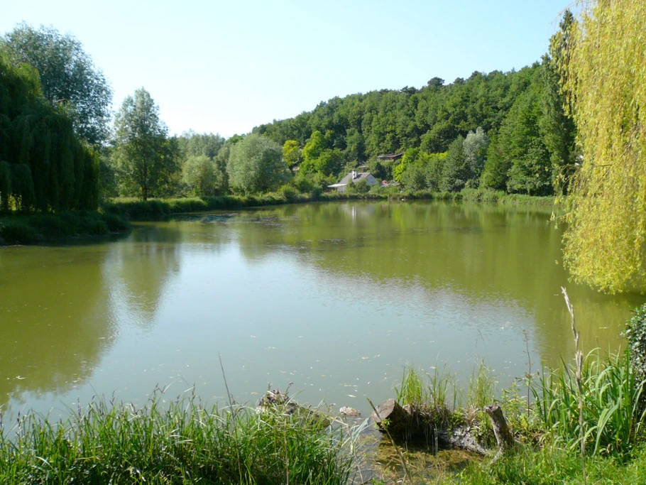 vue de l'étang