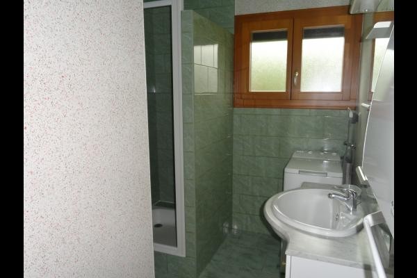 salle de bains-douche