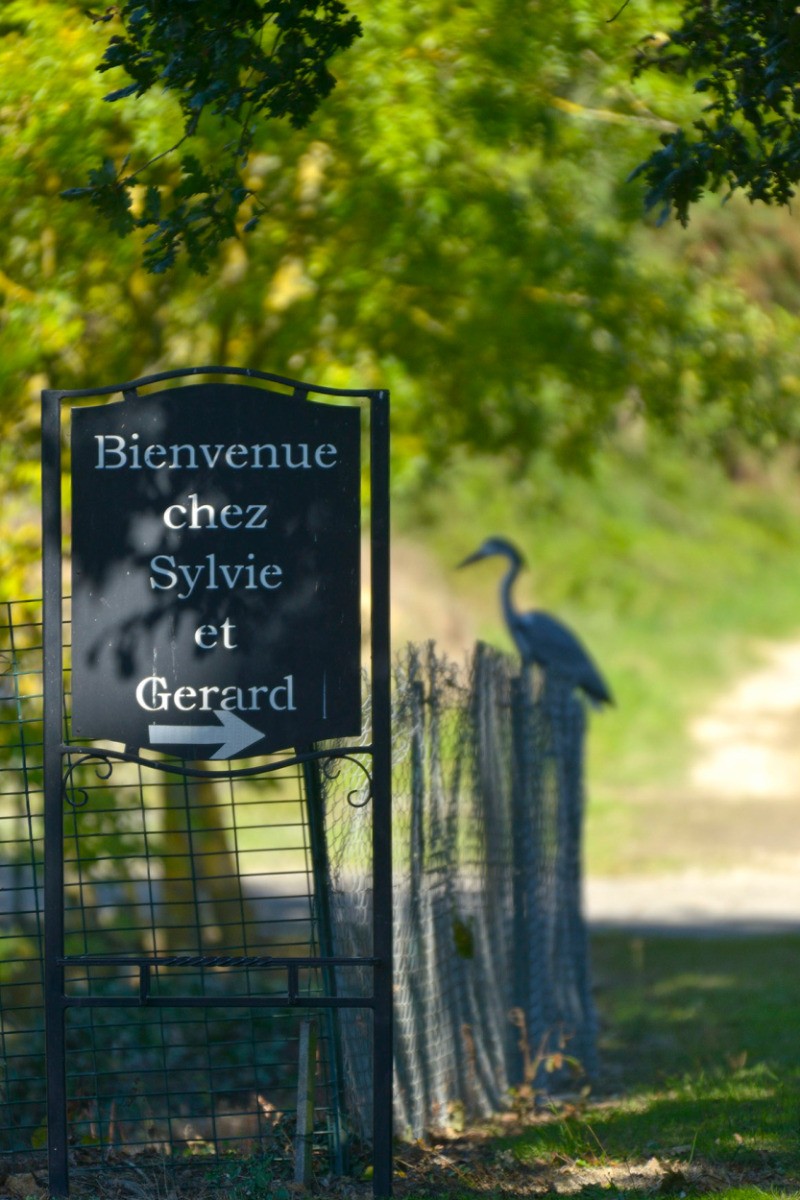 Bienvenue