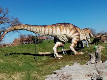 Photo n° 18 of the location