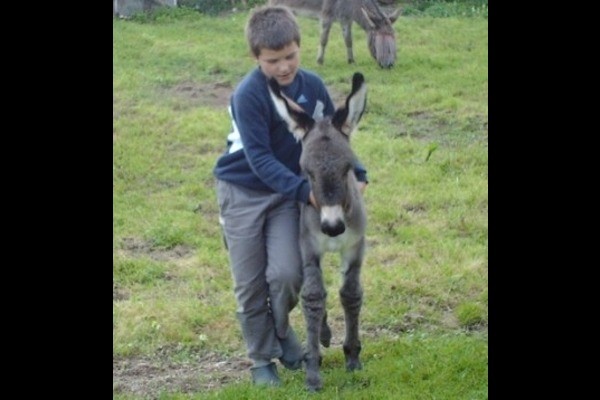 Photo n° 14 de la location