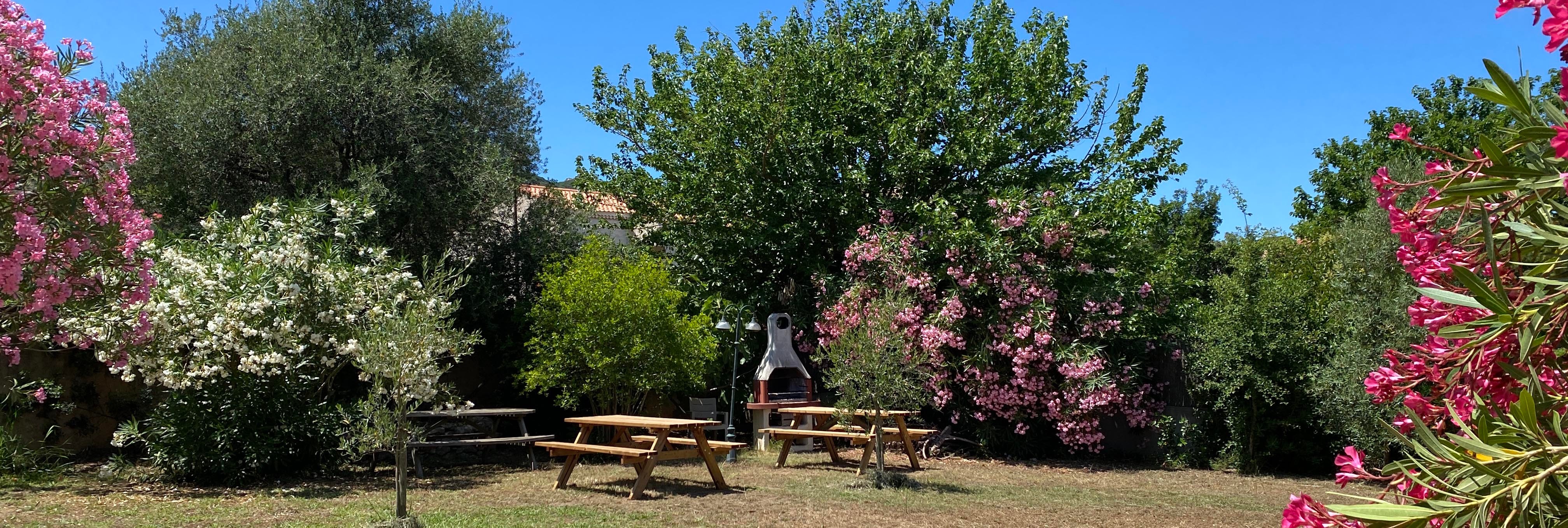 Photo n° 15 of the location