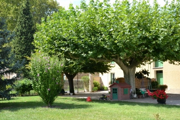 Photo n° 14 de la location