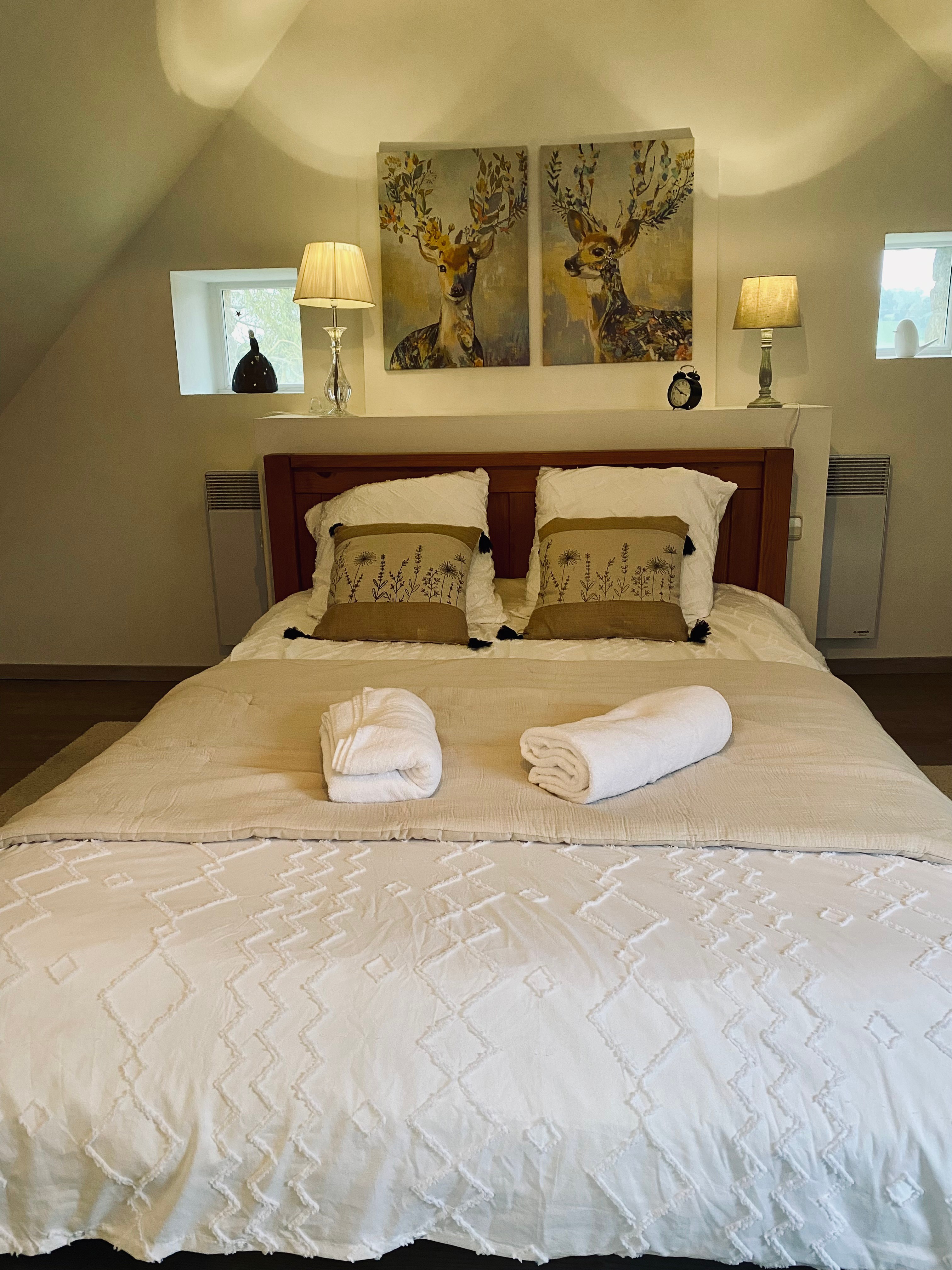 Grande chambre mansardée avec lit 140 cm et salle de bain (baignoire à remous)