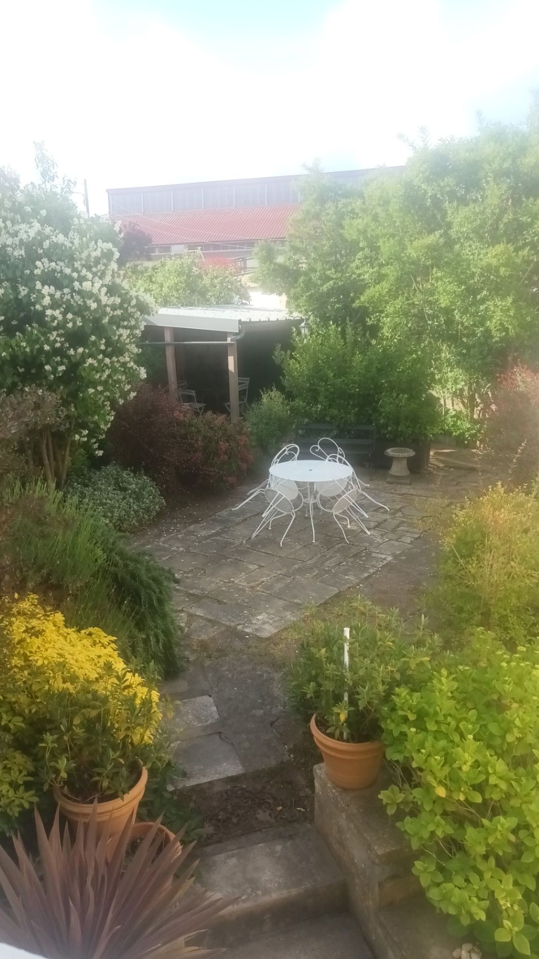 l'Inattendue cour et jardin intèrieur