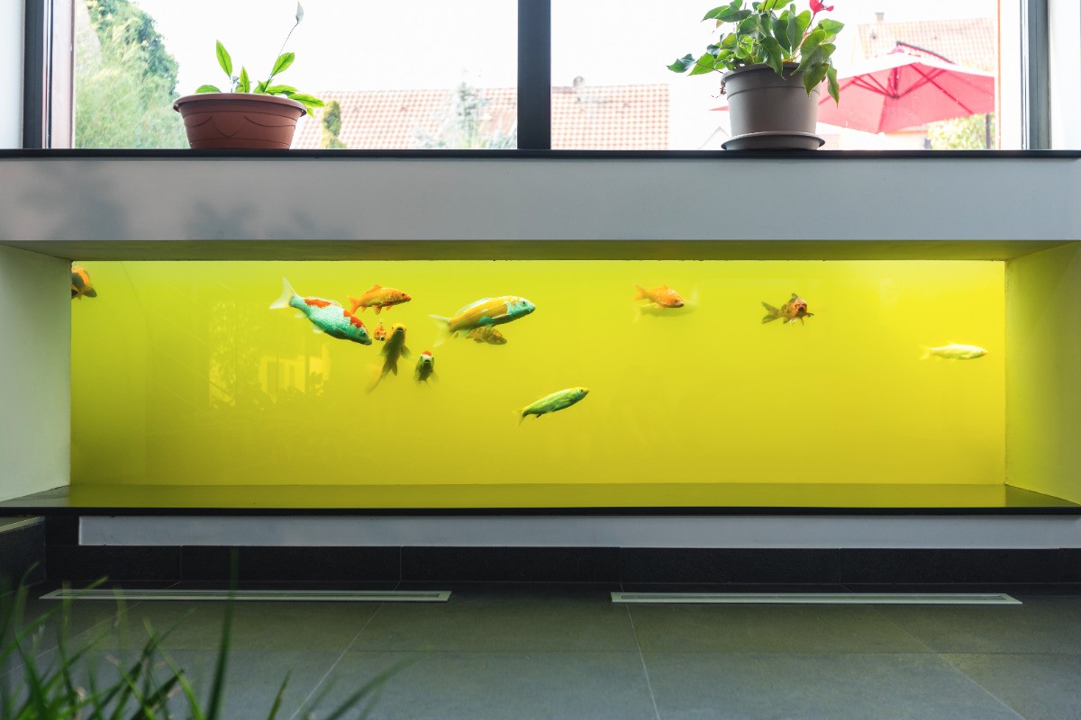 Aquarium