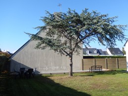 terrain de pétanque