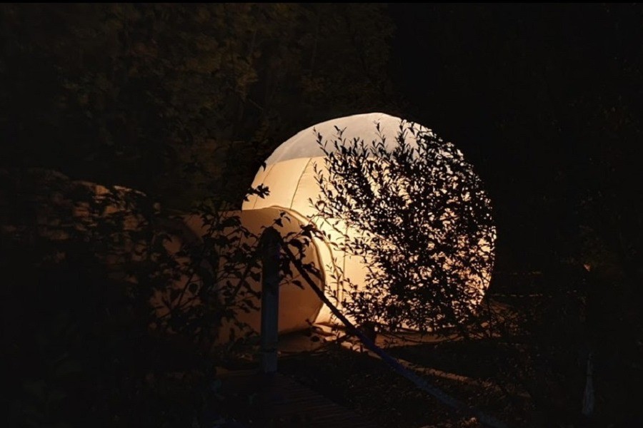 Photo n° 13 de la location