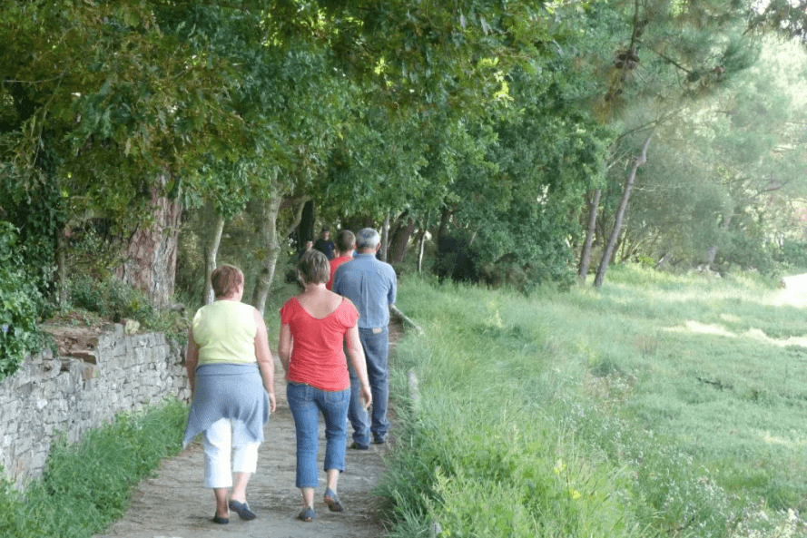 Nombreux sentiers de randonnées ombragés