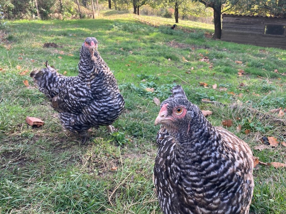 Photo n° 17 of the location