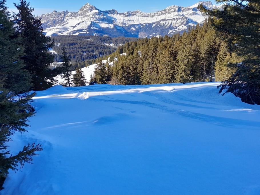 Poudreuse de janvier 2022 ;-)